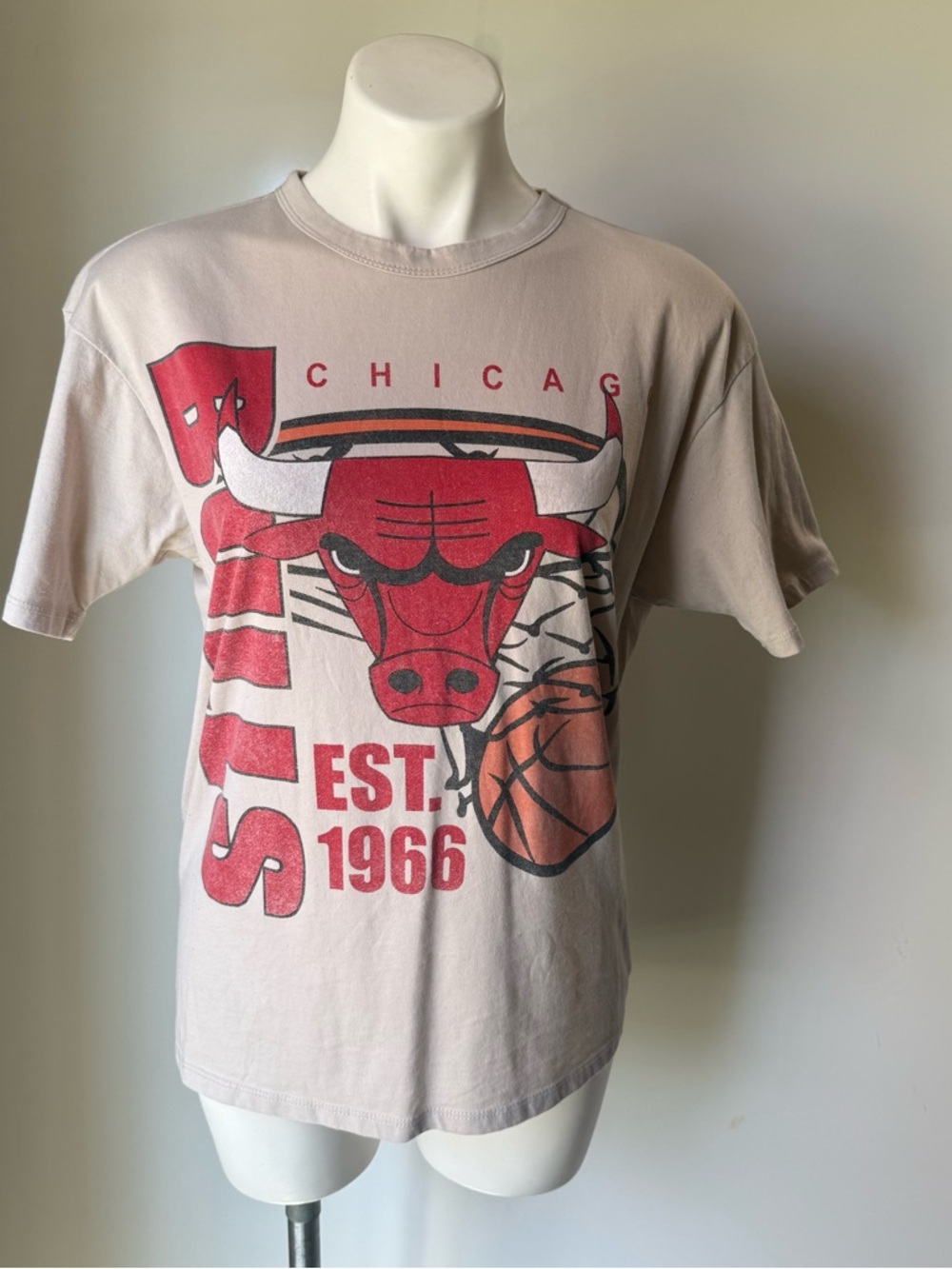 Chicago Bulls 1966 NBA Logo Tee in Red, Blue & Cream